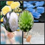 Dịch vụ xin giấy phép xây dựng tại Bình Định 6 Cần dịch vụ xin giấy phép xây dựng Bình Định