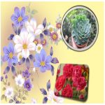 Dịch vụ xin giấy phép xây dựng tại Bình Dương 6 Cần dịch vụ xin giấy phép xây dựng Bình Dương