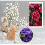 Dịch vụ xin giấy phép xây dựng tại Bình Thuận 6 Cần dịch vụ xin giấy phép xây dựng Bình Thuận