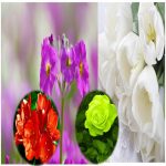 Dịch vụ xin giấy phép xây dựng tại Đà Nẵng 6 Cần dịch vụ xin giấy phép xây dựng Đà Nẵng