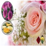 Dịch vụ xin giấy phép xây dựng tại Gia Lai 6 Cần dịch vụ xin giấy phép xây dựng Gia Lai