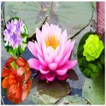 Dịch vụ xin giấy phép xây dựng tại Huyện Ba Vì 6 Cần dịch vụ xin giấy phép xây dựng Huyện Ba Vì
