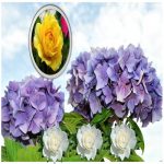 Dịch vụ xin giấy phép xây dựng tại Huyện Mỹ Đức 6 Cần dịch vụ xin giấy phép xây dựng Huyện Mỹ Đức