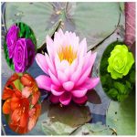 Dịch vụ xin giấy phép xây dựng tại Huyện Quốc Oai 6 Cần dịch vụ xin giấy phép xây dựng Huyện Quốc Oai