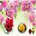 Dịch vụ xin giấy phép xây dựng tại Khánh Hòa 6 Cần dịch vụ xin giấy phép xây dựng Khánh Hòa