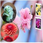 Dịch vụ xin giấy phép xây dựng tại Lâm Đồng 6 Cần dịch vụ xin giấy phép xây dựng Lâm Đồng