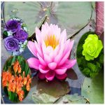 Dịch vụ xin giấy phép xây dựng tại Quận 9 6 Cần dịch vụ xin giấy phép xây dựng Quận 9