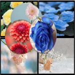 Dịch vụ xin giấy phép xây dựng tại Quận Đống Đa 6 Cần dịch vụ xin giấy phép xây dựng Quận Đống Đa