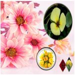 Dịch vụ xin giấy phép xây dựng tại Quận Hoàng Mai 6 Cần dịch vụ xin giấy phép xây dựng Quận Hoàng Mai
