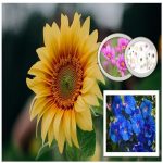 Dịch vụ xin giấy phép xây dựng tại Quận Long Biên 6 Cần dịch vụ xin giấy phép xây dựng Quận Long Biên
