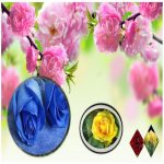 Dịch vụ xin giấy phép xây dựng tại Quận Thanh Xuân 6 Cần dịch vụ xin giấy phép xây dựng Quận Thanh Xuân