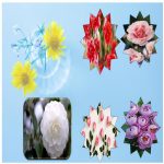 Cần dịch vụ xin giấy phép xây dựng Vĩnh Long
