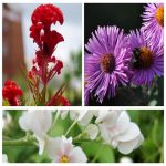 Phương pháp quản lý công nợ hiệu quả dành cho công ty 3 CÁC BƯỚC QUẢN LÝ CÔNG NỢ HIỆU QUẢ DÀNH CHO DOANH NGHIỆP
