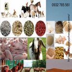 THỦ TỤC ĐĂNG KÝ KINH DOANH THỨC ĂN CHĂN NUÔI 6 ĐĂNG KÝ KINH DOANH THỨC ĂN CHĂN NUÔI