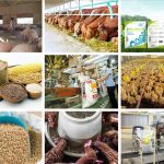 Thủ tục đăng ký lưu hành thức ăn chăn nuôi 6 DỊCH VỤ ĐĂNG KÝ LƯU HÀNH THỨC ĂN CHĂN NUÔI