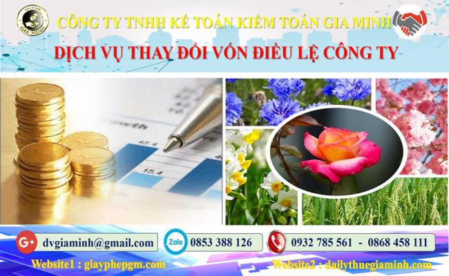 Thủ tục thay đổi vốn điều lệ công ty tại Huyện Ba Vì