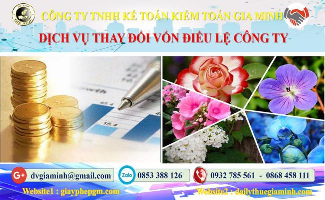 Dịch vụ thay đổi vốn điều lệ công ty tại Huyện Củ Chi 4 Thủ tục thay đổi vốn điều lệ công ty tại Huyện Củ Chi