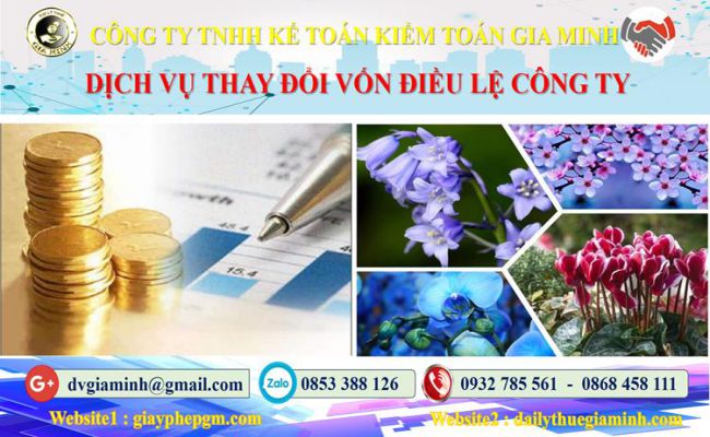 Dịch vụ thay đổi vốn điều lệ công ty tại Huyện Mê Linh 4 Thủ tục thay đổi vốn điều lệ công ty tại Huyện Mê Linh
