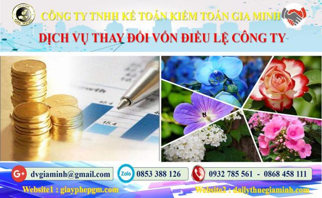 Dịch vụ thay đổi vốn điều lệ công ty tại Huyện Mỹ Đức 4 Thủ tục thay đổi vốn điều lệ công ty tại Huyện Mỹ Đức