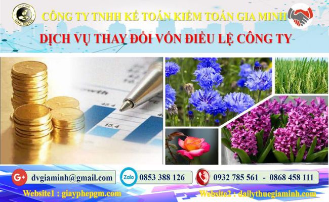 Dịch vụ thay đổi vốn điều lệ công ty tại Huyện Phú Xuyên 4 Thủ tục thay đổi vốn điều lệ công ty tại Huyện Phú Xuyên