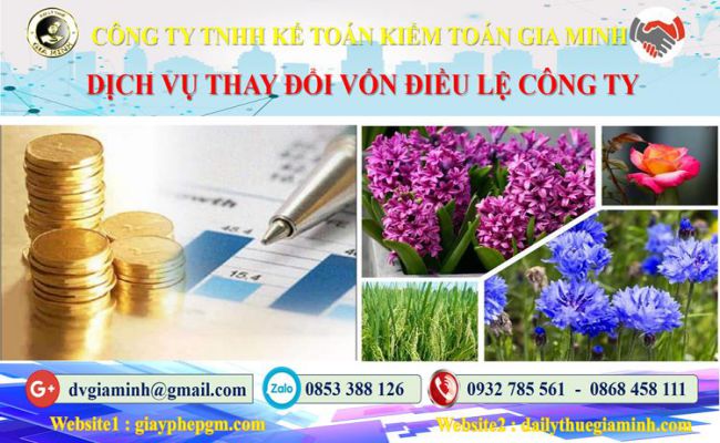 Thủ tục thay đổi vốn điều lệ công ty tại Quận 8
