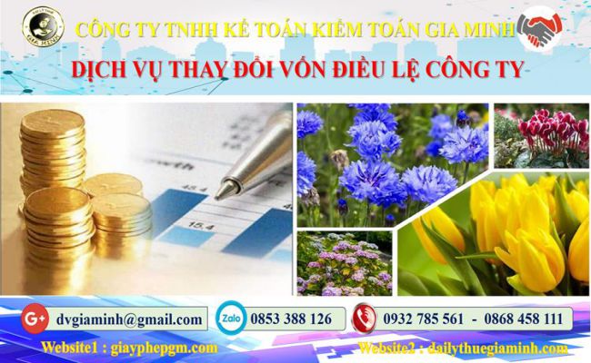 Dịch vụ thay đổi vốn điều lệ công ty tại Quận Bình Thạnh 4 Thủ tục thay đổi vốn điều lệ công ty tại Quận Bình Thạnh