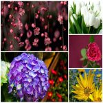 Thủ Tục Sáp Nhập Chia Tách Trung Tâm Ngoại Ngữ: Hướng Dẫn Chi Tiết 22 THỦ TỤC SÁP NHẬP CHIA TÁCH TRUNG TÂM NGOẠI NGỮ