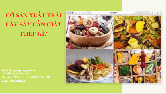 Cở sản xuất trái cây sấy cần giấy phép gì? 2 Thủ tục xin giấy phép an toàn thực phẩm là gì trái cây sấy