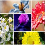 Điều kiện cấp chứng chỉ năng lực hạng 1 cho doanh nghiệp xây dựng 1 Tìm Điều kiện cấp chứng chỉ năng lực hạng 1 cho doanh nghiệp xây dựng