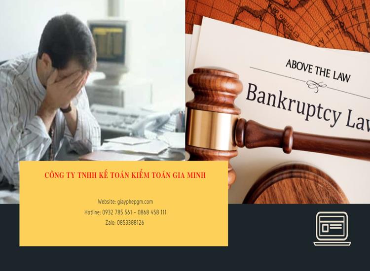 Trình tự giải quyết yêu cầu phá sản doanh nghiệp - hợp tác xã 6 Trình tự giải quyết yêu cầu phá sản doanh nghiệp - hợp tác xã