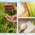 Tư vấn thủ tục công bố tiêu chuẩn chất lượng gạo 6 Công bố tiêu chuẩn chất lượng gạo