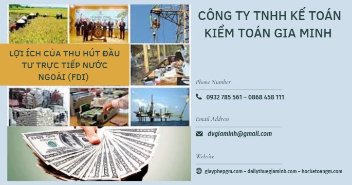 Lợi ích của thu hút đầu tư trực tiếp nước ngoài (FDI) 1 Đầu tư nước ngoài là gì