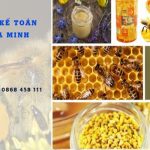 THỦ TỤC TỰ CÔNG BỐ SỮA ONG CHÚA VÀ PHẤN HOA TẠI HẢI PHÒNG 6 Hướng dẫn tự công bố sữa ong chúa và phấn hoa tại Hải Phòng