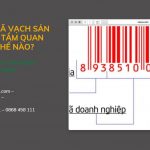 ĐĂNG KÝ MÃ VẠCH SẢN PHẨM CÓ TẦM QUAN TRỌNG THẾ NÀO? 7 Mã số mã vạch có những lợi ích gì trong kinh doanh