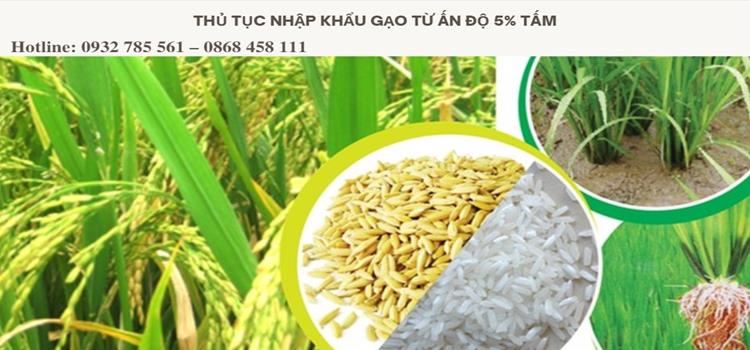 Thủ tục nhập khẩu gạo từ Ấn Độ 5% tấm 4 Thủ tục nhập khẩu gạo từ Ấn Độ 5% tấm