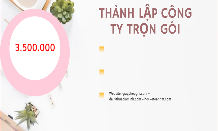 Bảng giá thành lập doanh nghiệp ở Huyện Đan Phượng 