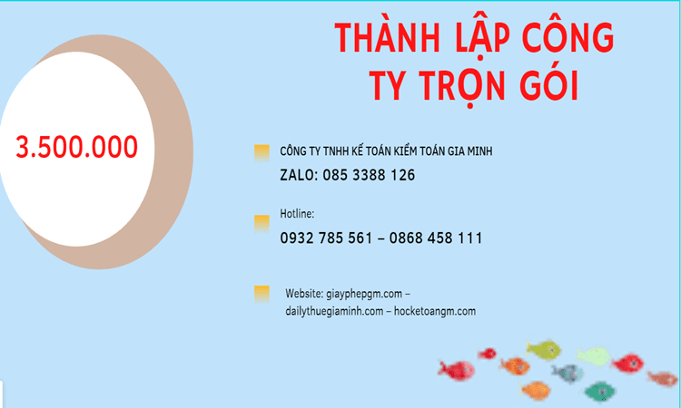 Bảng giá thành lập doanh nghiệp ở Huyện Nhà Bè 
