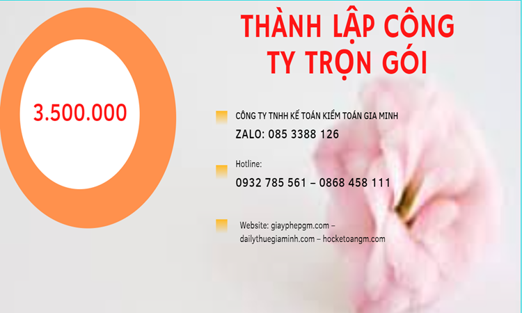 Bảng giá thành lập doanh nghiệp ở Thành Phố Thủ Đức 