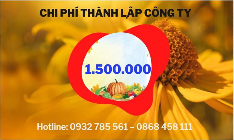 Chi phí thành lập công ty đào tạo nghề tại Huyện Thanh Oai