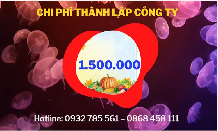 Chi phí thành lập công ty đào tạo nghề tại Quận 2