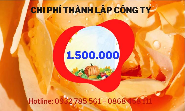 Chi phí thành lập công ty đào tạo nghề tại Quận Gò Vấp