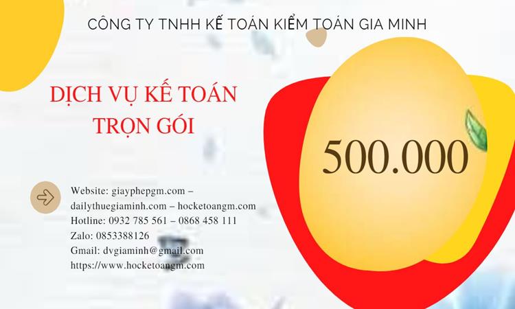Dịch vụ báo cáo thuế tại An Giang giá rẻ 