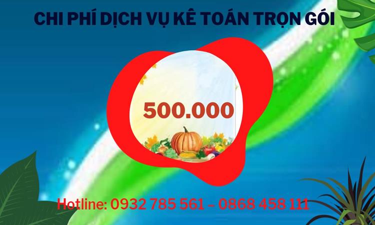 DỊCH VỤ KẾ TOÁN TẠI QUẬN 3 GIÁ RẺ CHUYÊN NGHIỆP 5 Dịch vụ báo cáo thuế tại Quận 3 giá rẻ