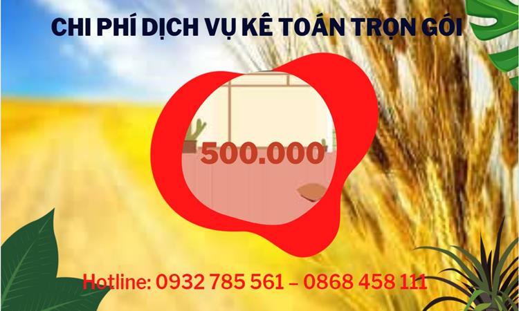 DỊCH VỤ KẾ TOÁN TẠI QUẬN TÂN BÌNH GIÁ RẺ CHUYÊN NGHIỆP 5 Dịch vụ báo cáo thuế tại Quận Tân Bình giá rẻ