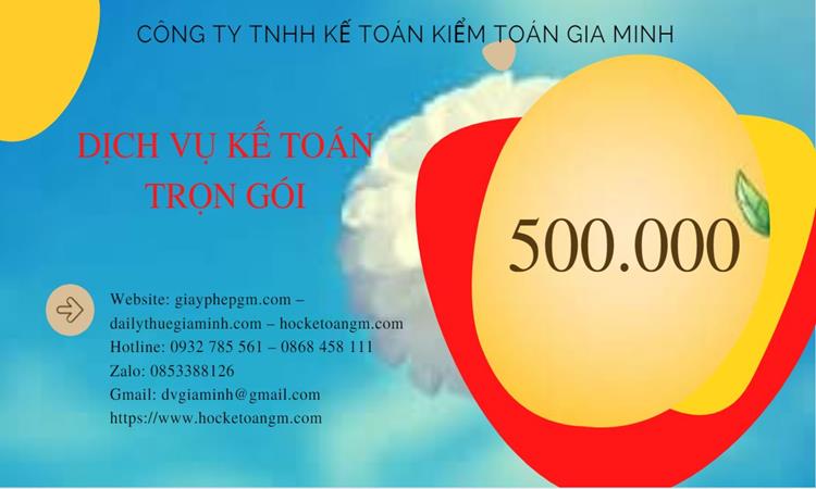 DỊCH VỤ KẾ TOÁN TẠI TP HỒ CHÍ MINH GIÁ RẺ CHUYÊN NGHIỆP 5 Dịch vụ báo cáo thuế tại TP Hồ Chí Minh giá rẻ