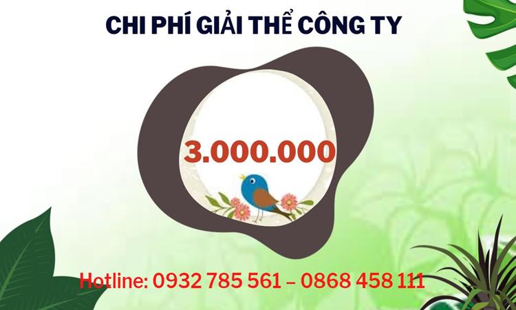 Dịch vụ giải thể công ty tại Bắc Ninh