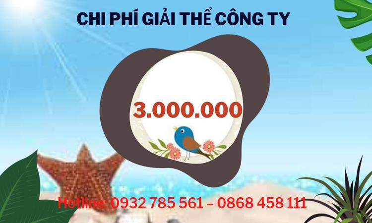 Dịch vụ giải thể công ty tại Gia Lai