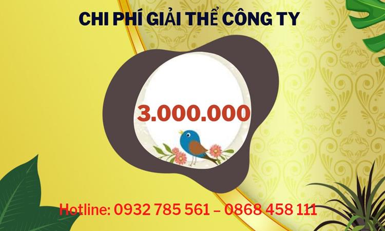 Dịch vụ giải thể công ty tại Huyện Bình Chánh