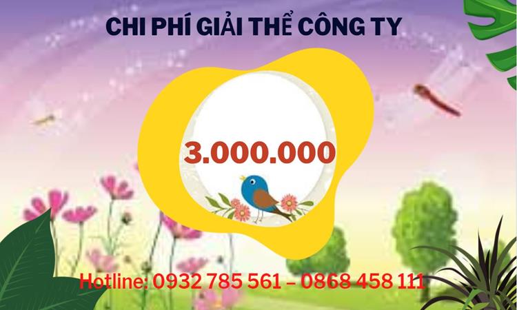 Dịch vụ giải thể công ty tại Huyện Bình Lục