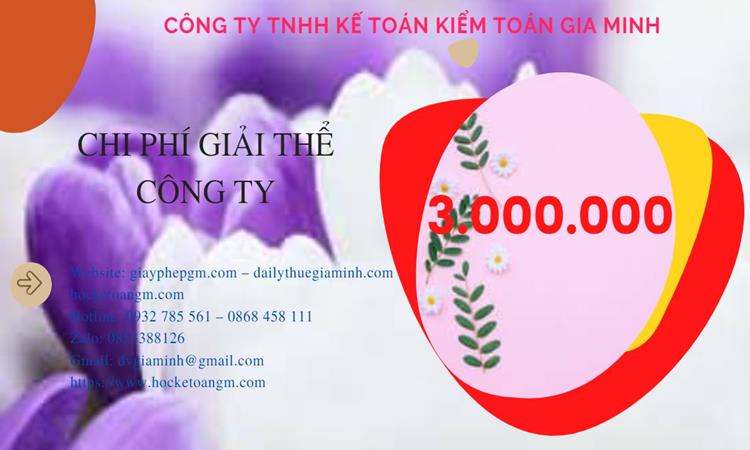 Dịch vụ giải thể công ty tại Huyện Cần Giờ